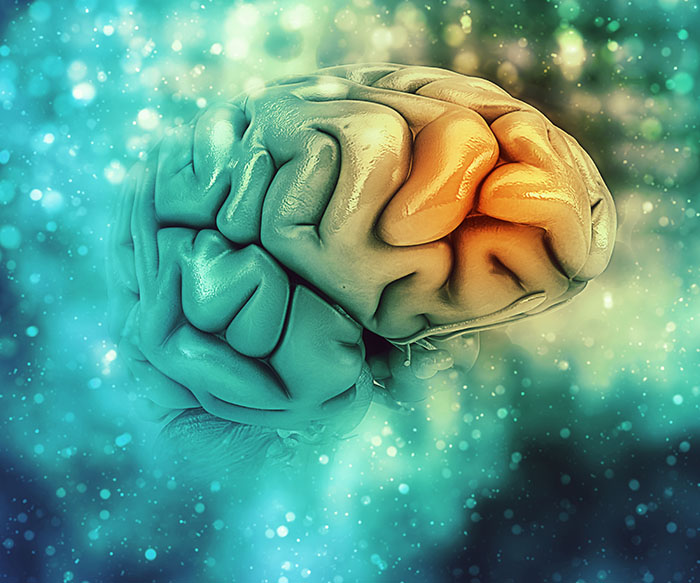 Prevenire la malattia di Alzheimer con l’esercizio mentale